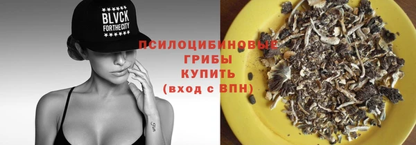 ешки Абинск
