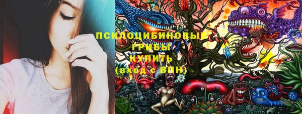 бутират Сатка