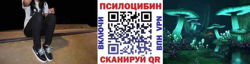 Галлюциногенные грибы мицелий  mega ССЫЛКА  Гагарин 
