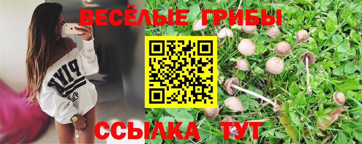 Псилоцибиновые грибы мухоморы  Вход с VPN  Гагарин  Галлюциногенные грибы Psilocybine cubensis 