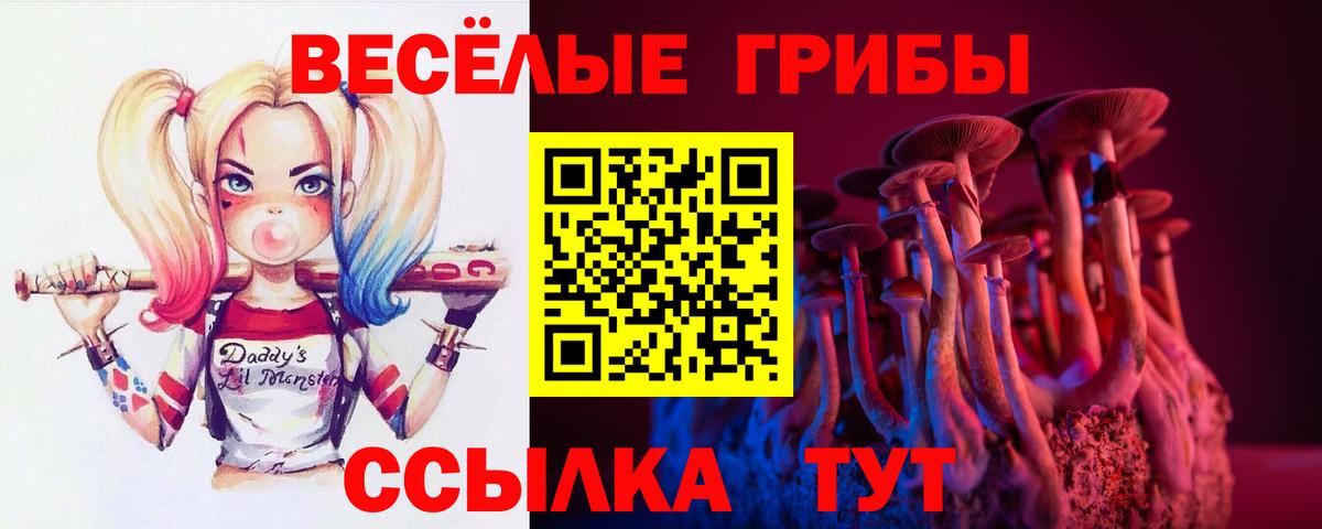Галлюциногенные грибы Magic Shrooms Гагарин